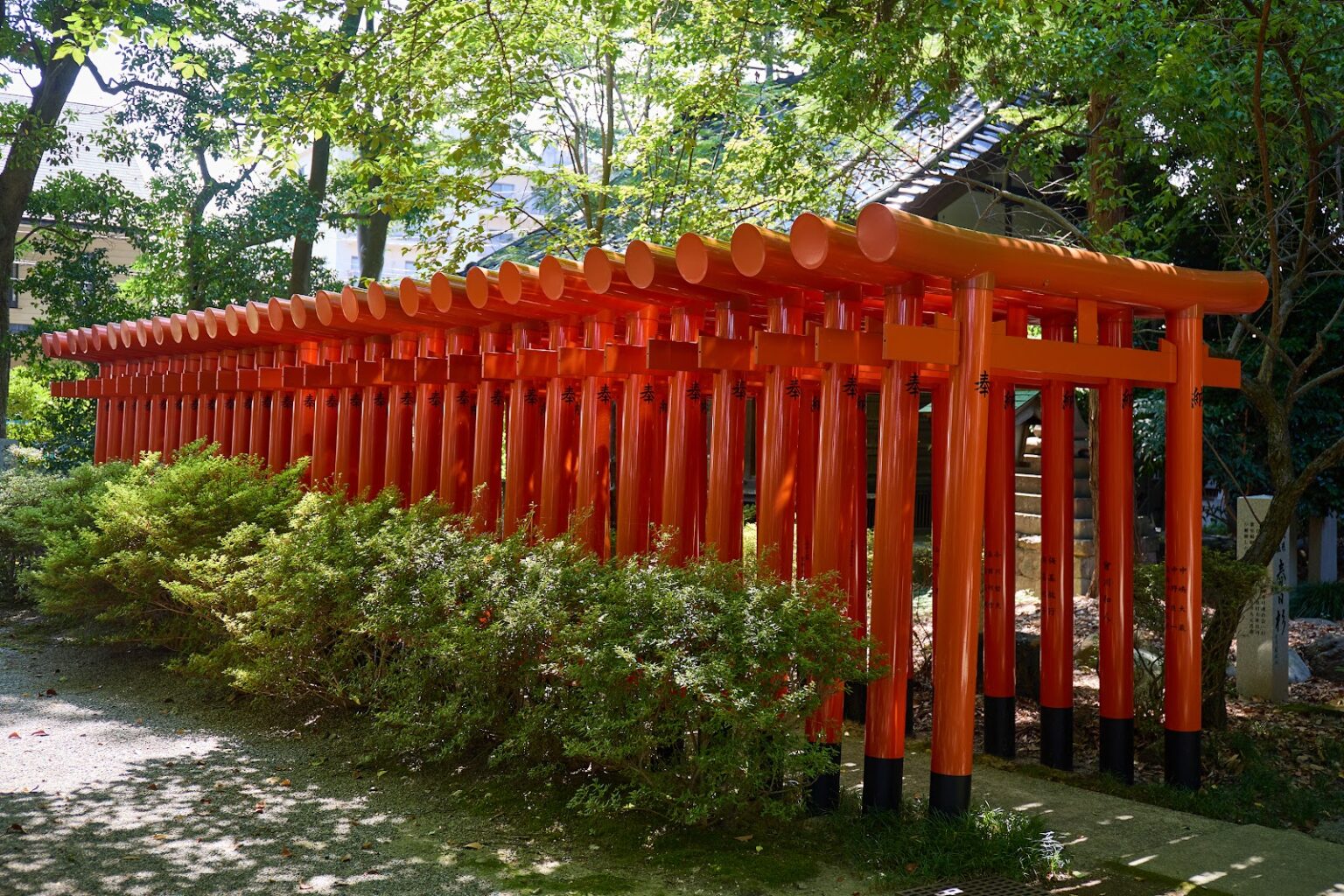 s-blob-v1-IMAGE-KgmMgZUDTR8