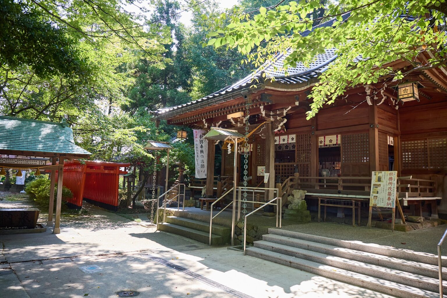 s-blob-v1-IMAGE-YnNpY8F59WM